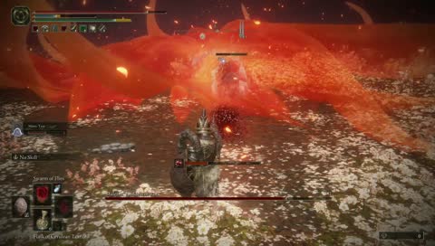 beating malenia