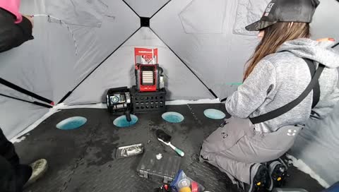 The lost laker 3/6/22