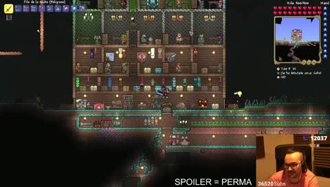 hardcore terraria
