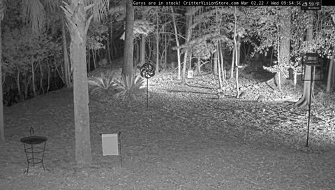 think it was a Racoon not a fox :(