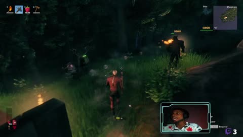 When ves un baca en el campo