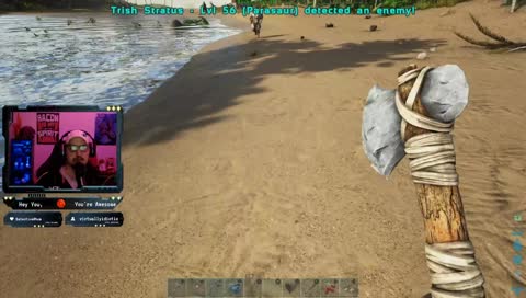 slo mo beach run