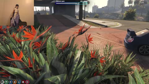 ray downs his rust boys