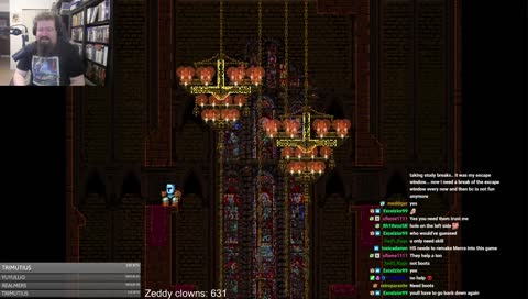 Zeddy Falls: The Movie