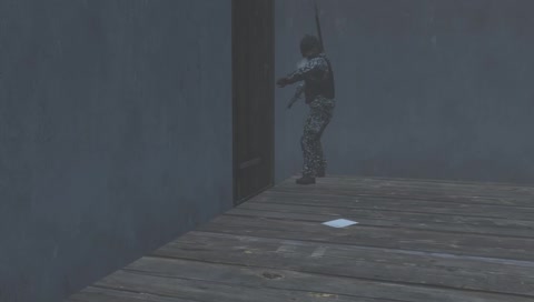 what does it look like?