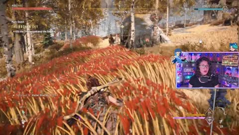 nothing to see here...
