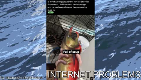????