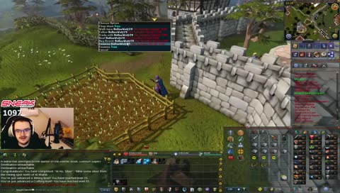 rs3 normis smh
