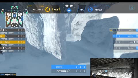 TEAM-ECR skin par balle