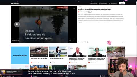 UN PET SUAVE DE LA PART DE PONCE