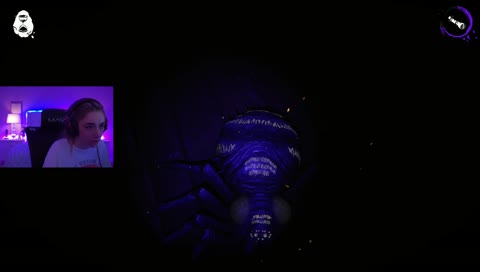 SpiderScare 2? maybe 3? who knows anymore