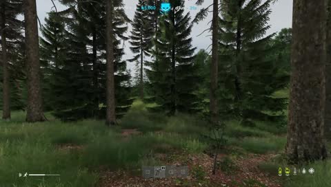 gamer grass