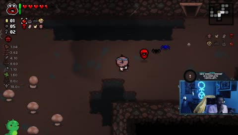 Streamer Luck