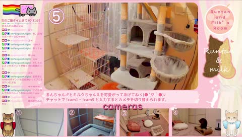 どこから登ってるのよwwww