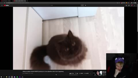 Wtf Haisete? FeelsNotSureMan