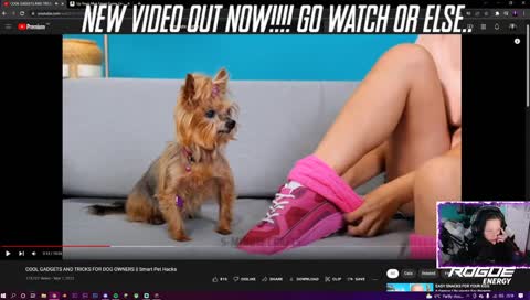 what am i hearing lol