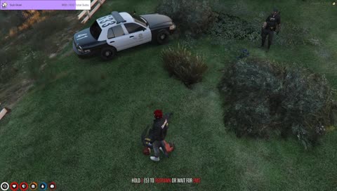 Even Scralett was rooting for Dundee KEKW