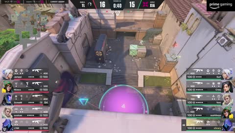 Final round Team Liquid vs XERXIA