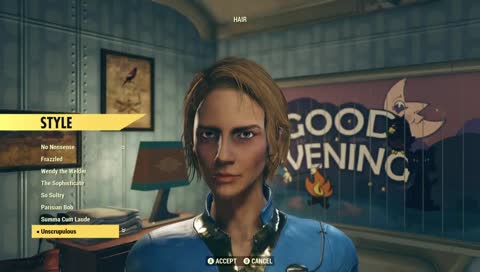 Fallout Hairstyle