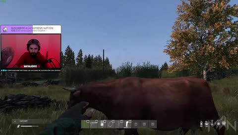 El dรญa que las vacas... vuelen?