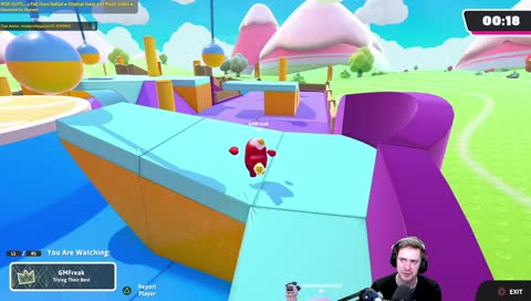 Vyhrál jsem Fall Guys!