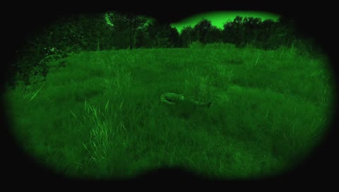 Last of the trio car campers dead