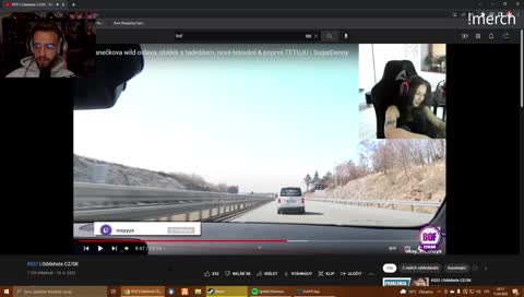 Na psa řvát nebudeš 