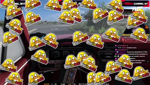 We used the autoclicker