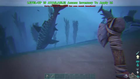 Get out of the water Dio...