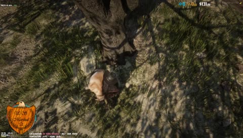 Pauvre chien mort... tous le monde pleure