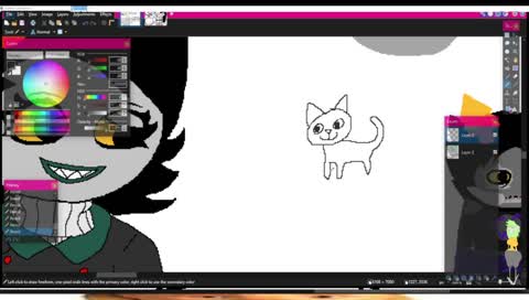 Cat abuse