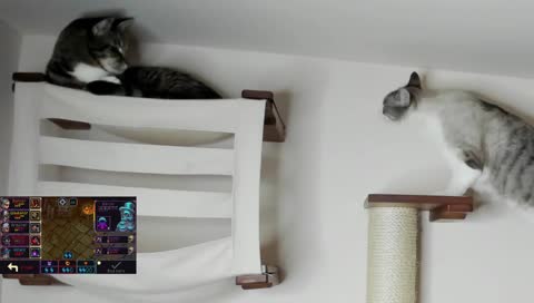sibling love