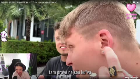 pes stepuje u maji na streame do rytmu drum and base