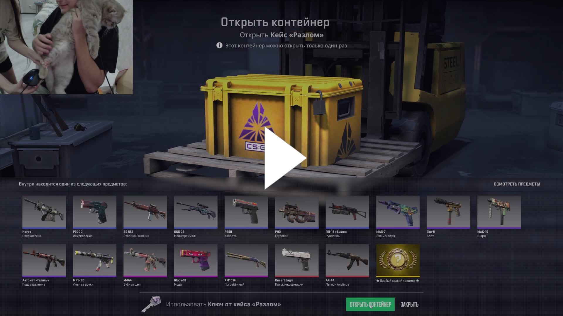 Кейс операции клык. Кейс операции клык