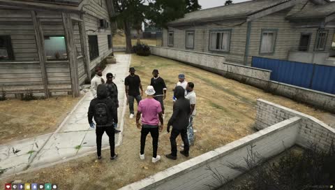 gang gang