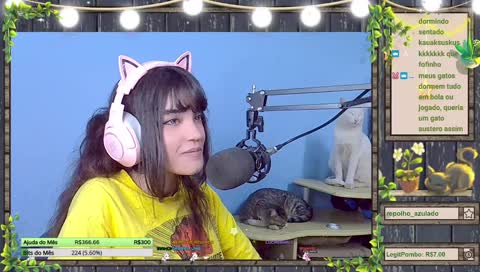 Gato Estátua