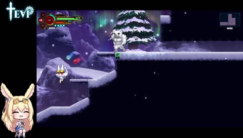 bunny test flight