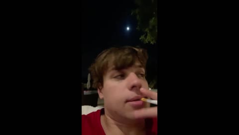komár 