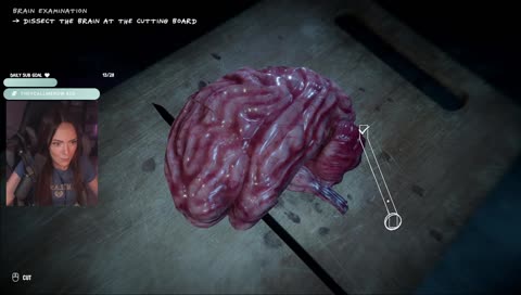 Lijken op die stierenballen 