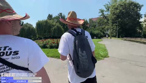 Mexičani