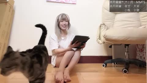 【粵/中】陪我組櫃子