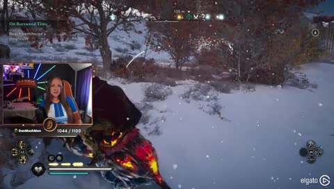 You killed my cat!