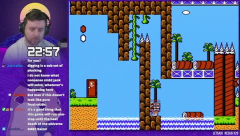 A thing was found! (spoiler alert for Glitchcat's SMB2 Kaizo)