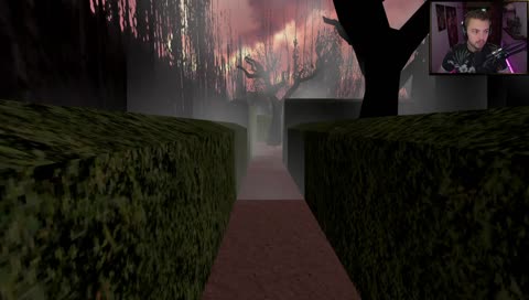 probably the worst gore in a videogame (for a male)