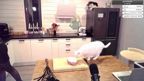 Битва за МЯСО!