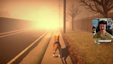 The sky don’t like the doggy’s name - lightning disapproval