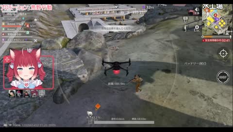 バードストライク