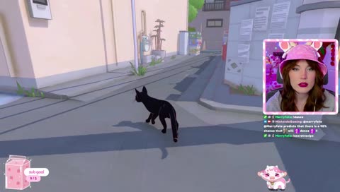 Cat walks into water surprise