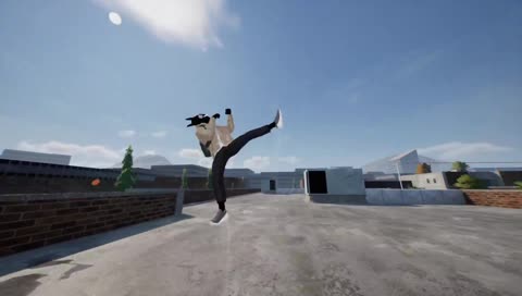 illusion flip into a Cartwheel