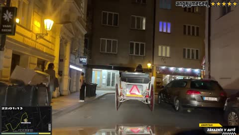 2x Týrání zvířat 